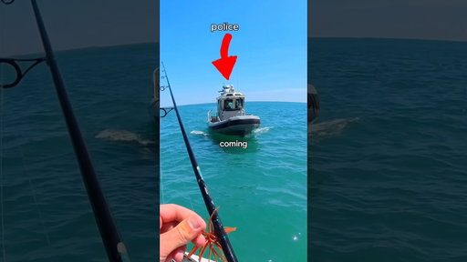 Catching a Fish for the Police 🐟🎣