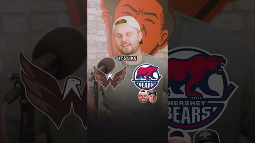 NHL AND AHL LOGO COLOR SWAP! #nhlhockey #nhl #hockey