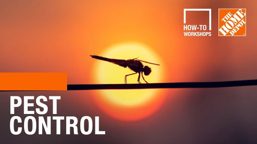 How-To Workshops - Pest Control | The Home Depot