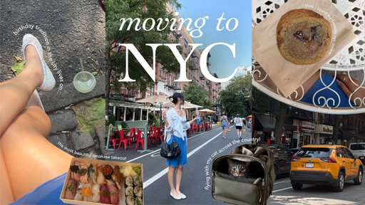 i moved to NYC with a cat and two suitcases 🍎🚕