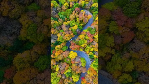 Most Beautiful New England Town This Fall 🎃🍁😍