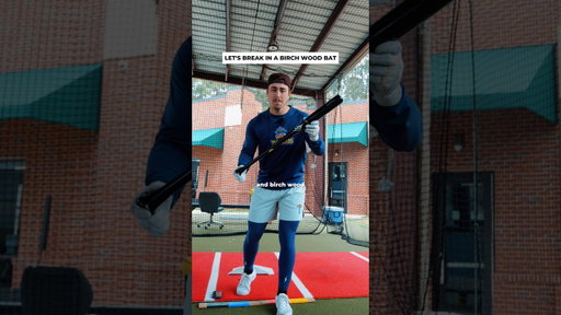 Breaking in a Birch Wood Baseball Bat #baseballszn #sportsball #mlb #baseball #woodbat