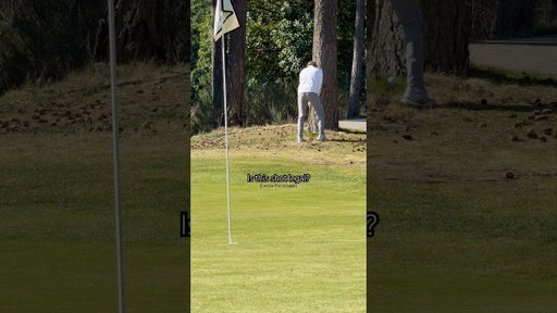Is this shot legal? #golf