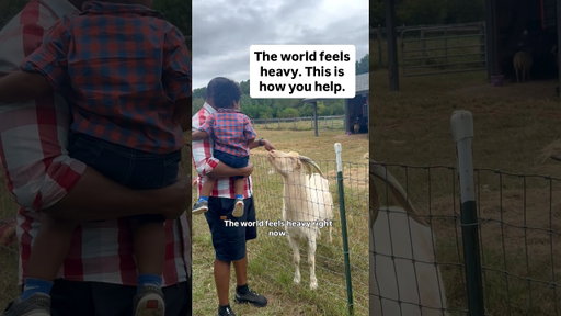 Family visit to Farm of the Free Animal Sanctuary