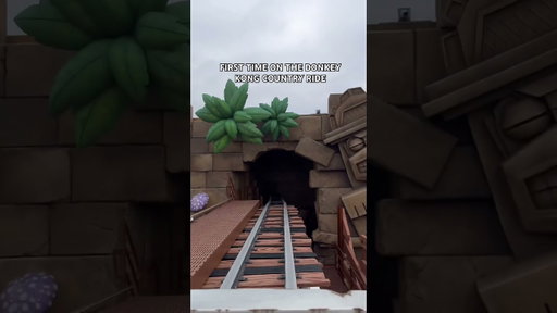 First time riding Donkey Kong ride #shorts