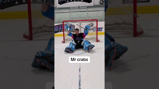 The best hockey goalie celly’s