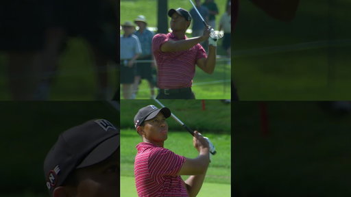 What 72nd hole pressure? 🎯