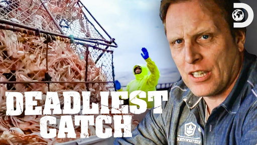 Most Massive Crab Hauls | Deadliest Catch | Discovery