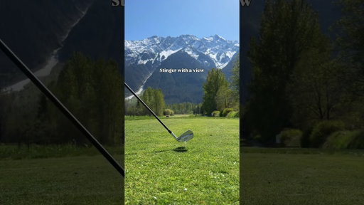 STINGERS #golf #golfcourse #golfer