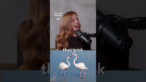 🦩 Flamingos Can Lose Their Colour?! 🍼 What The Body Goes Through In Motherhood