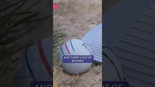 A very RISKY golf shot 👀
