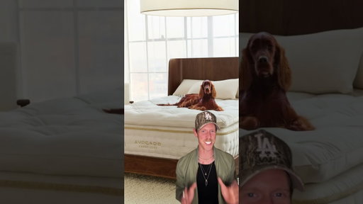 Product vs marketing: Mattresses #design #productrecs #mattresses