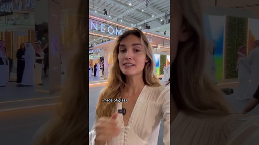 What’s happening with ‘The Line?’