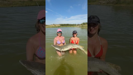 Fishing Gone Wrong #shorts