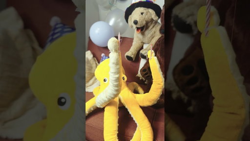 Episode 21: There’s noth-fin better than celebrating our favourite shark #lifeinstitches