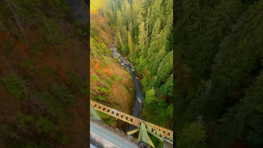 Have you been to this iconic bridge yet? #washington #highsteelbridge