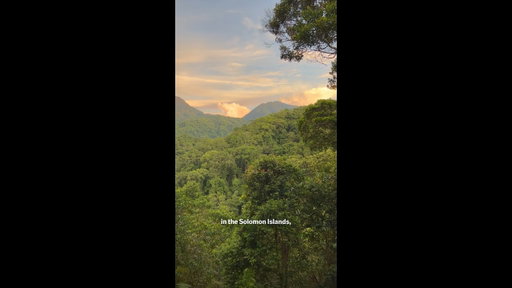 Volcanoes, Hikes and MORE on the Solomon Islands