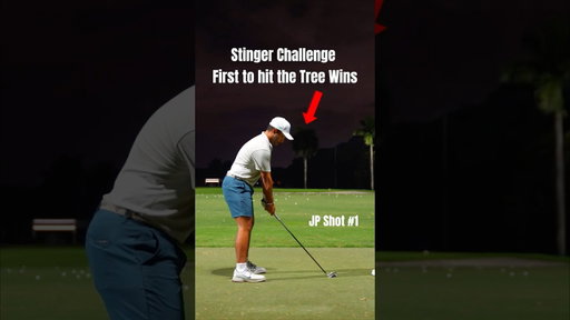 Stinger Challenge: Would You Hit The Tree? #paryard #golf #golfer #golfswing #golfskill #stinger