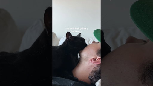 Who Does Our Cat Love More?