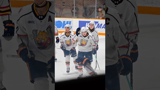 Colts Country #ontariohockeyleague