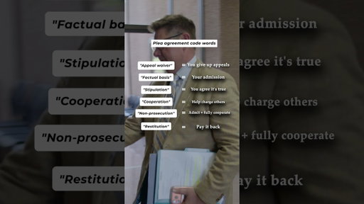 A plea agreement is more than paperwork - every word has consequences.