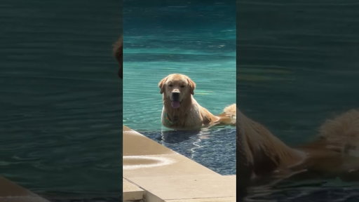 Peter enjoying the pool while he can 😂