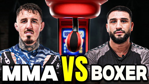 Who Hits Harder? UFC Heavyweight vs Heavyweight Boxer