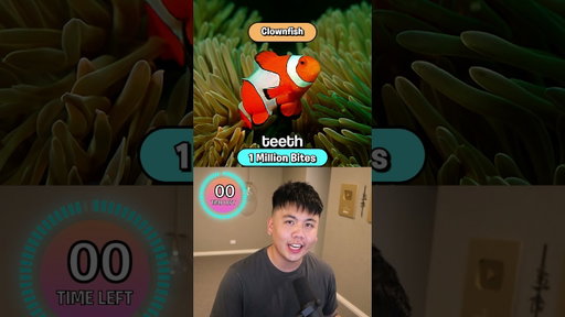 How Many BITES WIll End You?