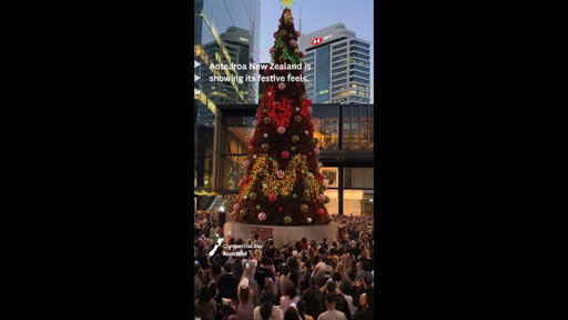 It's almost Christmas in New Zealand!