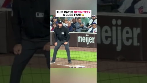 There Is A RAT On The Field At Wrigley! 🤣