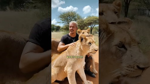 Best emoji wins!🦁Home sweet Home❤️