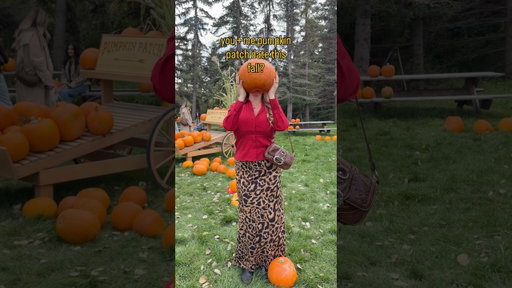 Are you doing a pumpkin patch date this fall? #pumpkin #fall #fallseason #shorts #fallproject