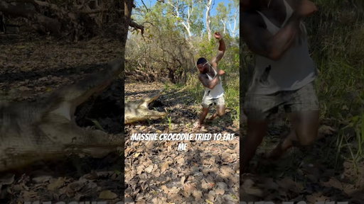 Comment your thoughts big saltwater crocodile in Australia 🇦🇺 #australia #crocodile #reptiles