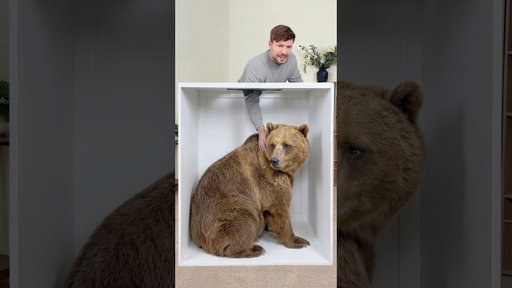Guess the Animal
