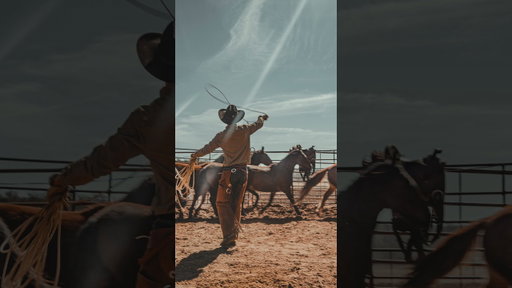 The Photographer vs The Photo