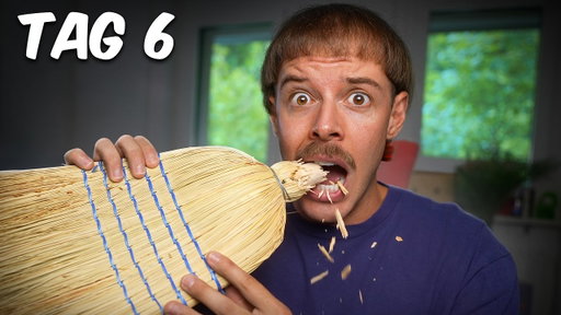 Ich fresse einen Besen (wortwörtlich)