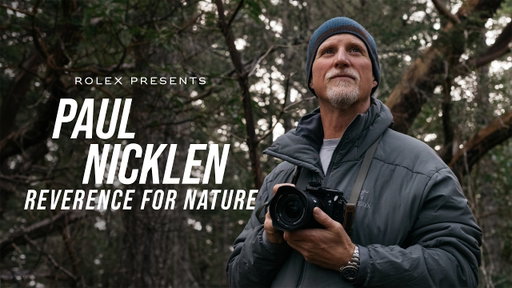 Rolex presents: Paul Nicklen – Reverence for Nature