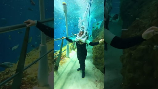 WALKING UNDERWATER WITH SHARKS?! 😱🦈 📍SeaWorld, Abudhabi #abudhabi #seaworld #aquarium