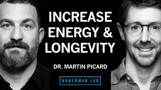 Improve Energy & Longevity by Optimizing Mitochondria | Dr. Martin Picard