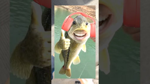 Is it bass.. or bass?
