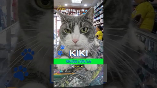 Meet Kiki in Crown Heights