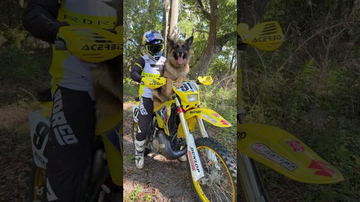 Clean 2006 RM250 Start Up and Walk Around!