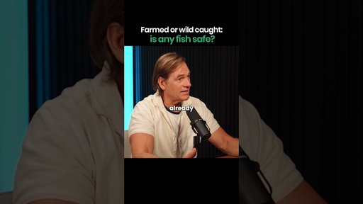 Not all fish are the same fish 🎏