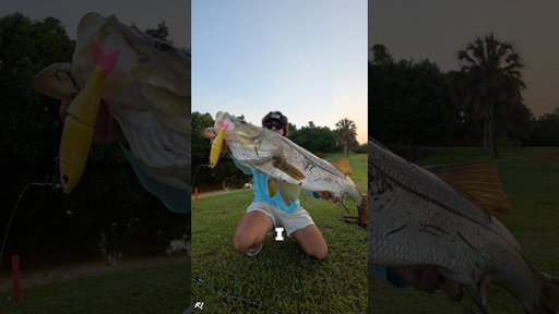 ITS A GIANT GIANT… #snook #snookfishing #fishing #glidebait #swimbait #florida #viral