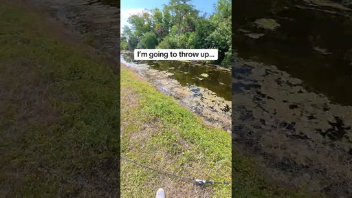 I’m going to throw up… #fishing #bassfishing #snakehead #shorts #viral