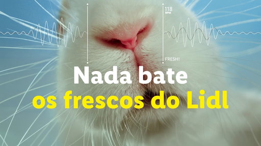 Nada bate os frescos do Lidl | Lidl Portugal