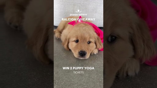 🌳 RALEIGH GIVEAWAY 🌳
