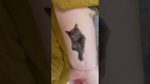 Getting A Cattoo Of My Cat