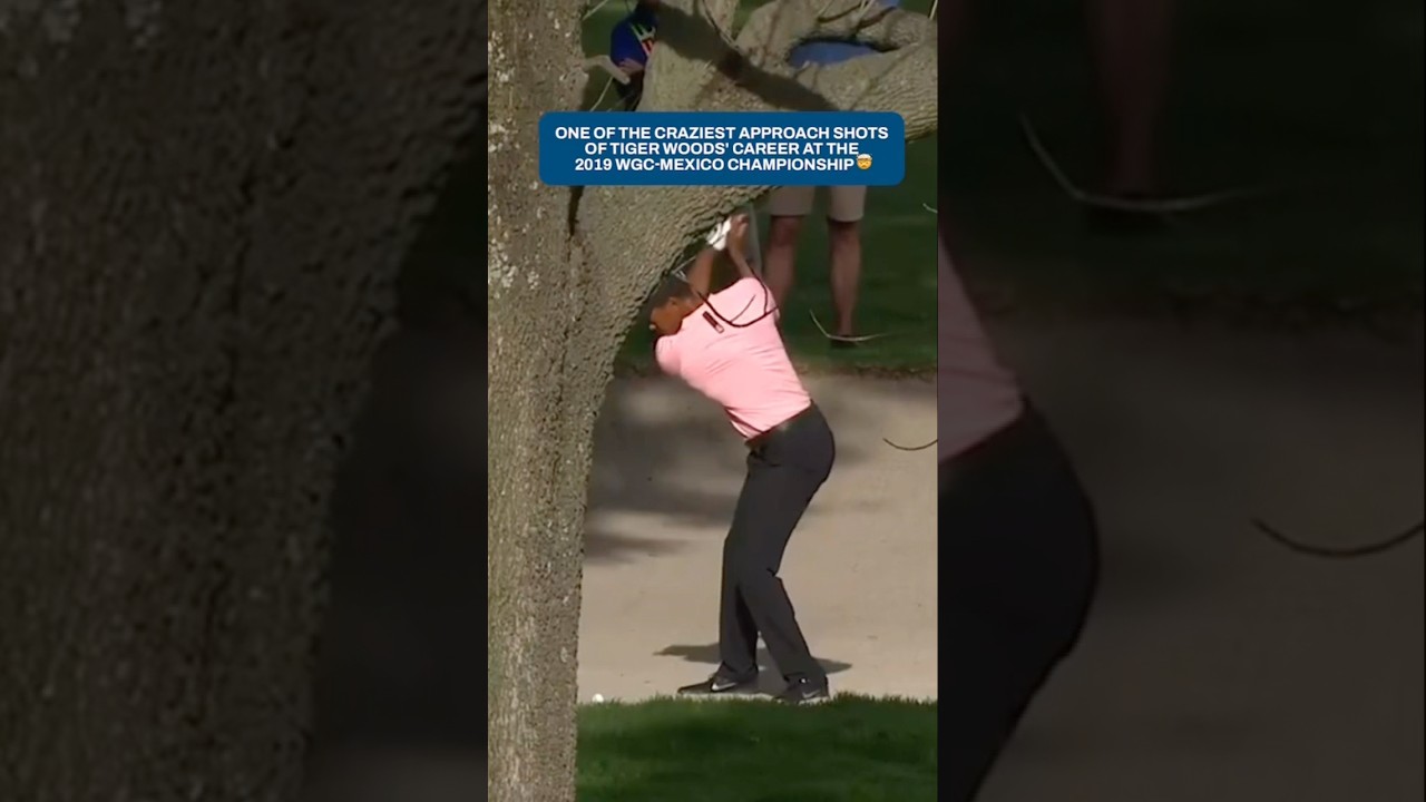 Tiger the artist 🎨