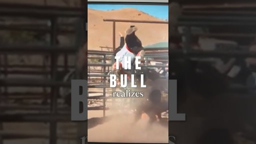 Every man has a bull #storytelling #millennials